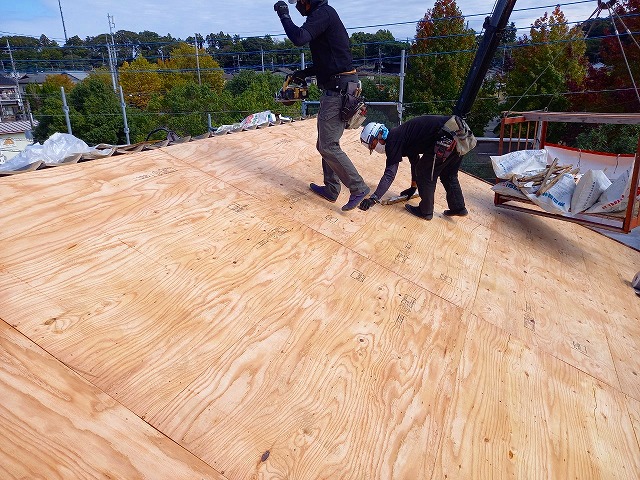 針葉樹合板を貼り終えた屋根